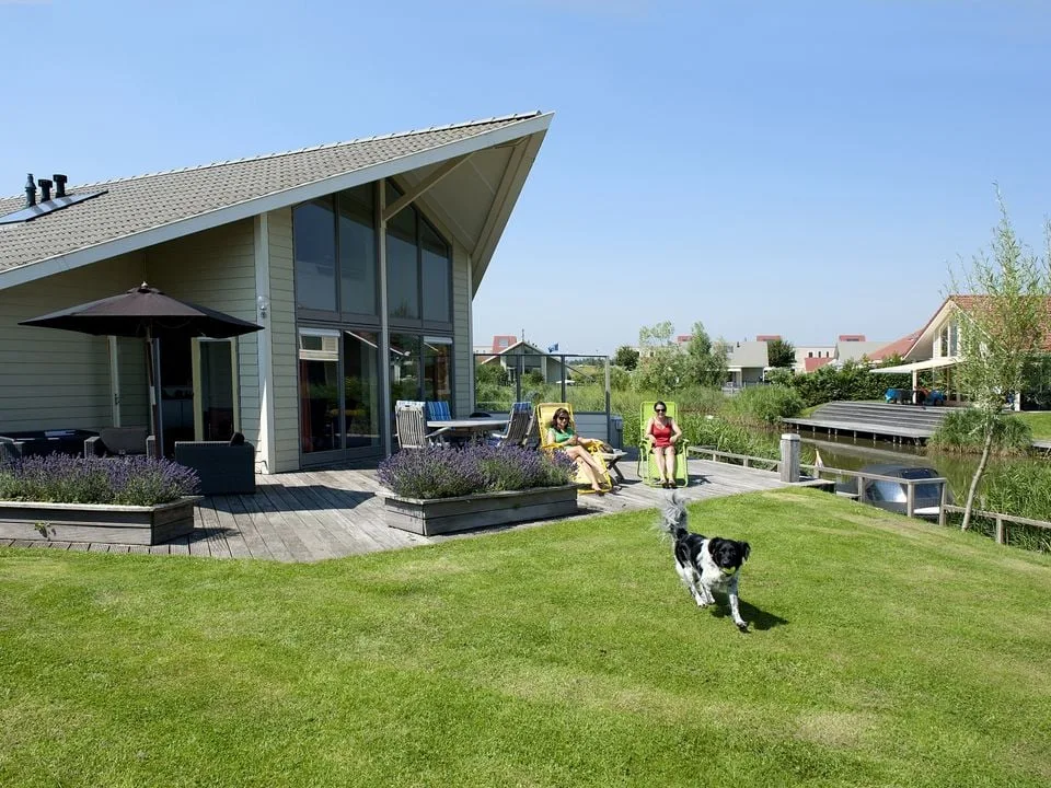 Vakantiehuis met hond erbij