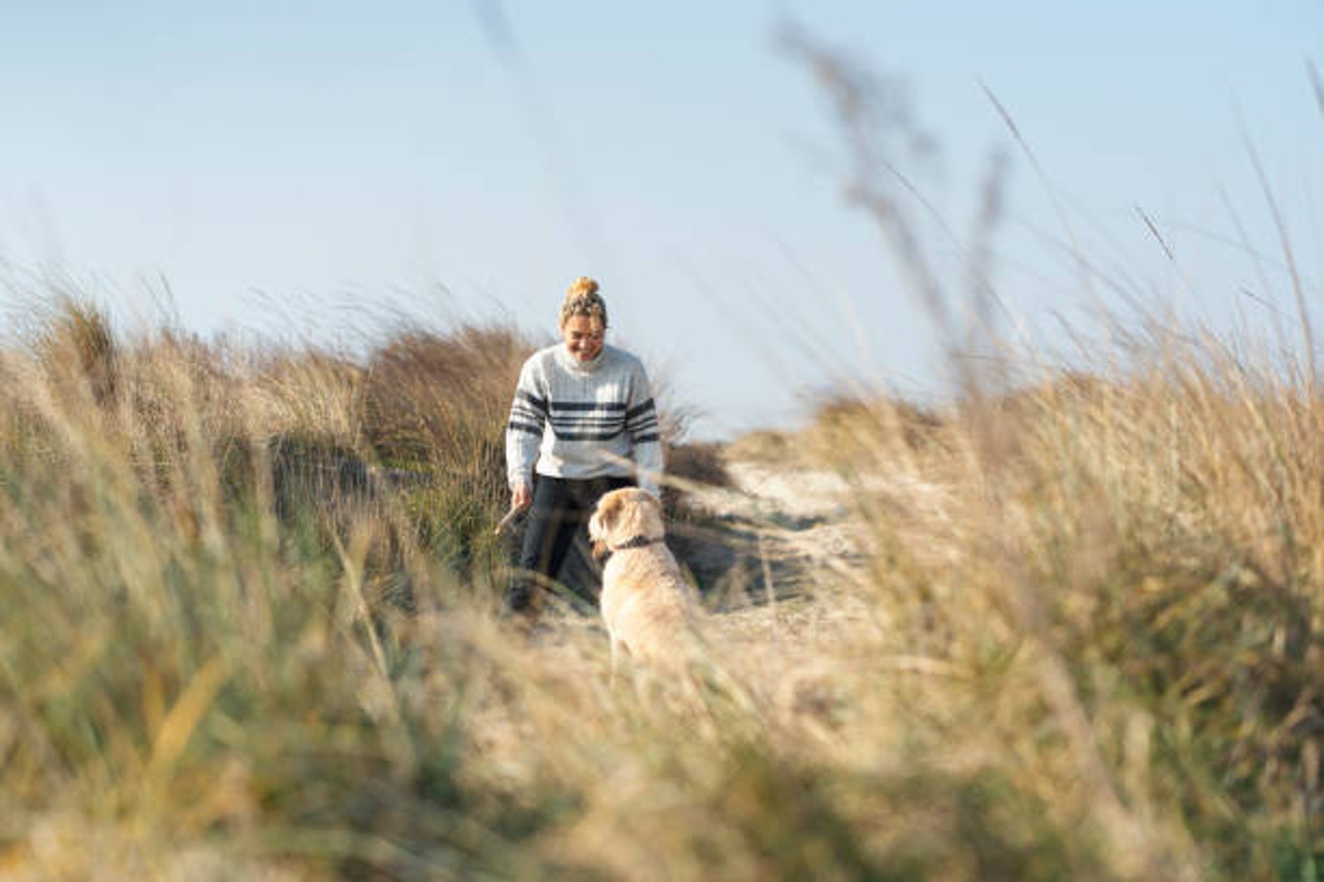 wandelen door duinen van Renesse