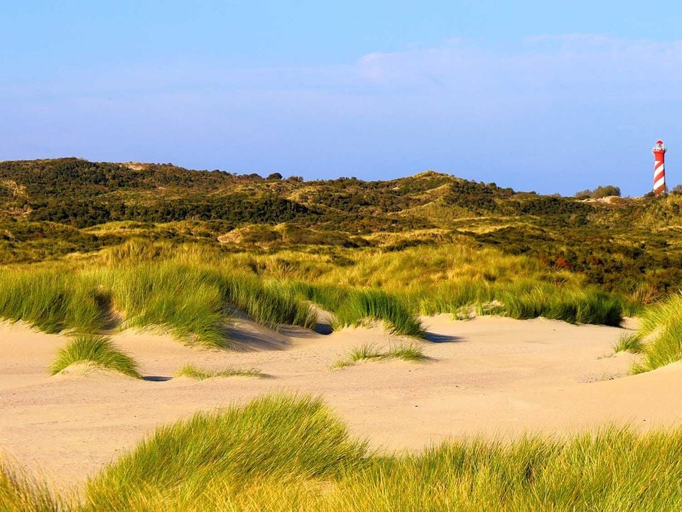 omgeving van Renesse