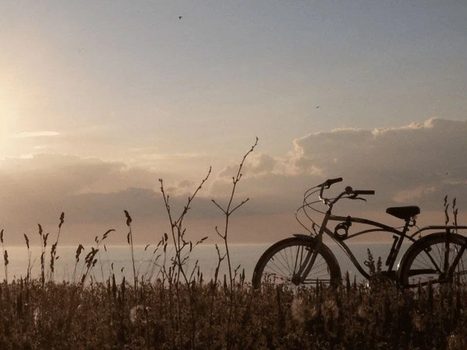 Met de fiets door tholen